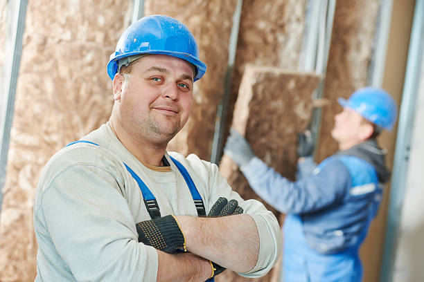 Types of Insulation We Offer in NV