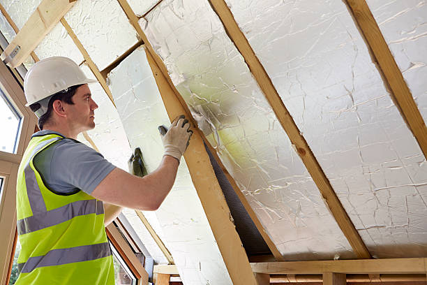 Best Insulation Maintenance and Repair in Tonopah, NV